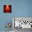 Red Christmas Background-g_peshkova-Photographic Print displayed on a wall