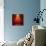 Red Christmas Background-g_peshkova-Mounted Photographic Print displayed on a wall