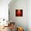 Red Christmas Background-g_peshkova-Mounted Photographic Print displayed on a wall