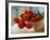 Red Chrysanthemums-Colin Anderson-Framed Photographic Print