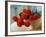 Red Chrysanthemums-Colin Anderson-Framed Photographic Print