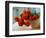 Red Chrysanthemums-Colin Anderson-Framed Photographic Print