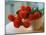 Red Chrysanthemums-Colin Anderson-Mounted Photographic Print