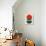 Red Circles and Half Circles-Eline Isaksen-Art Print displayed on a wall