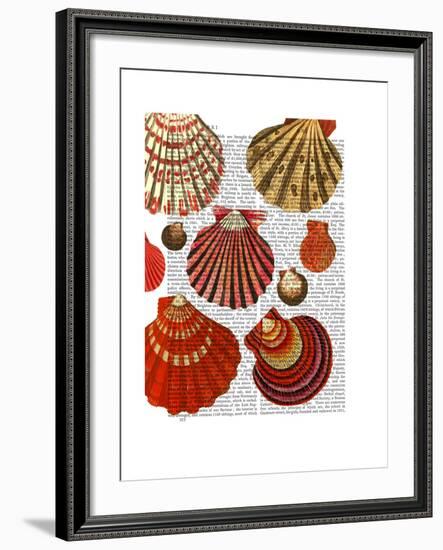 Red Clam Shells-Fab Funky-Framed Art Print