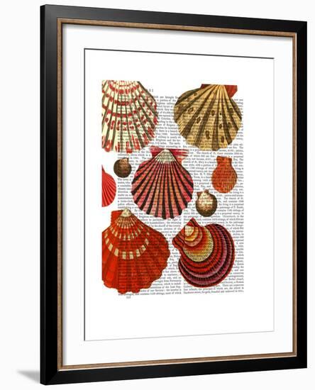 Red Clam Shells-Fab Funky-Framed Art Print