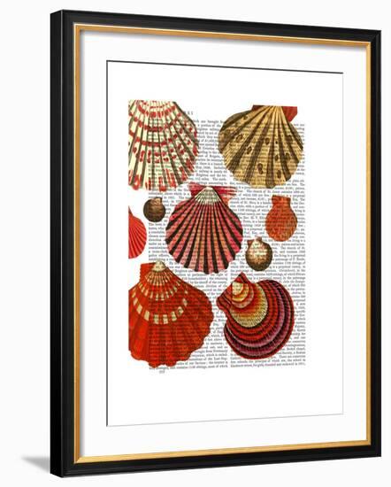 Red Clam Shells-Fab Funky-Framed Art Print