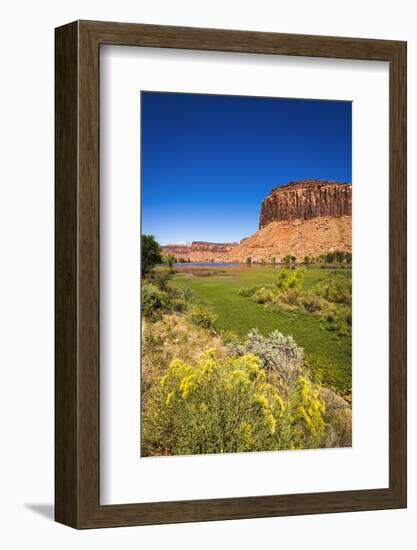 Red cliffs above the Dugout Reservoir, Indian Creek Canyon, Utah-Russ Bishop-Framed Photographic Print