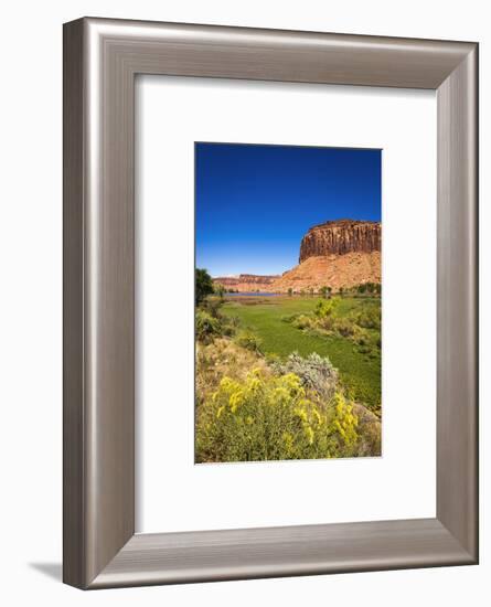 Red cliffs above the Dugout Reservoir, Indian Creek Canyon, Utah-Russ Bishop-Framed Photographic Print