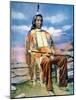 Red Cloud (1822-1909)-null-Mounted Photographic Print