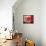 Red Cloud II-Tony Saladino-Framed Stretched Canvas displayed on a wall