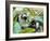 Red Colubus Monkeys Sitting in Tree Sharing Food-Carlo Bavagnoli-Framed Photographic Print