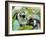 Red Colubus Monkeys Sitting in Tree Sharing Food-Carlo Bavagnoli-Framed Photographic Print