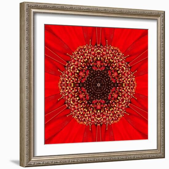 Red Concentric Flower Center: Mandala Kaleidoscopic Design-tr3gi-Framed Art Print