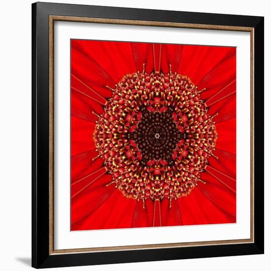 Red Concentric Flower Center: Mandala Kaleidoscopic Design-tr3gi-Framed Art Print