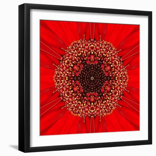 Red Concentric Flower Center: Mandala Kaleidoscopic Design-tr3gi-Framed Art Print