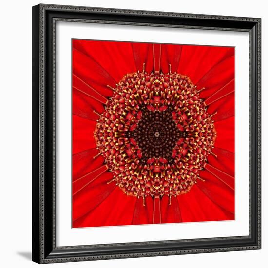 Red Concentric Flower Center: Mandala Kaleidoscopic Design-tr3gi-Framed Art Print