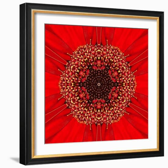 Red Concentric Flower Center: Mandala Kaleidoscopic Design-tr3gi-Framed Art Print