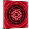 Red Concentric Flower Center: Mandala Kaleidoscopic Design-tr3gi-Mounted Art Print