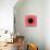 Red Concentric Flower Center: Mandala Kaleidoscopic Design-tr3gi-Art Print displayed on a wall