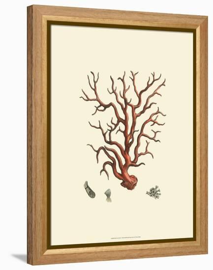 Red Coral I-null-Framed Stretched Canvas