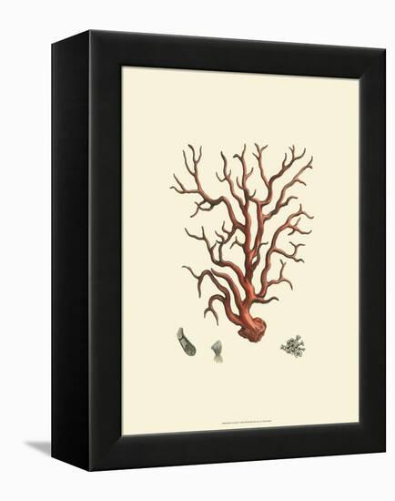 Red Coral I-null-Framed Stretched Canvas