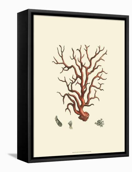 Red Coral I-null-Framed Stretched Canvas