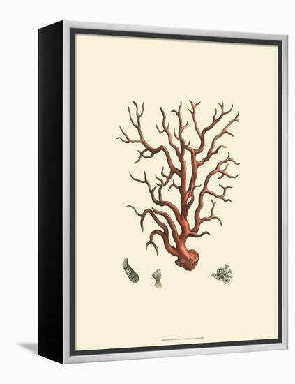 Red Coral I-null-Framed Stretched Canvas