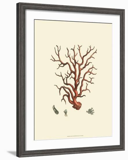 Red Coral I-null-Framed Art Print