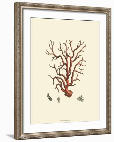 Red Coral I-null-Framed Art Print