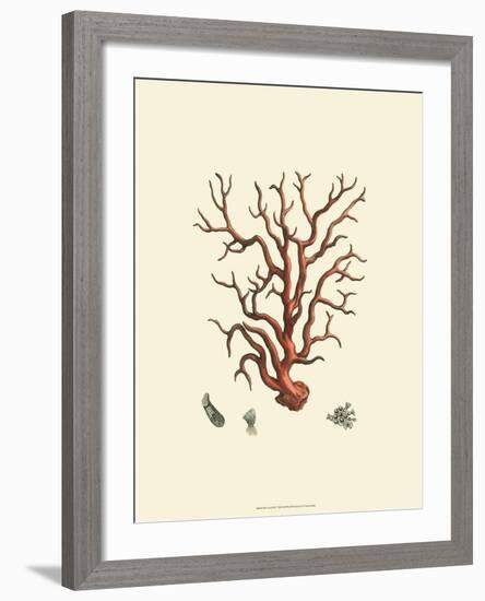 Red Coral I-null-Framed Art Print