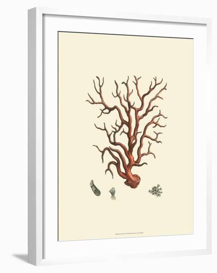 Red Coral I--Framed Art Print