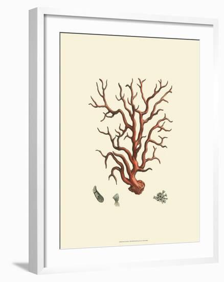 Red Coral I-null-Framed Art Print