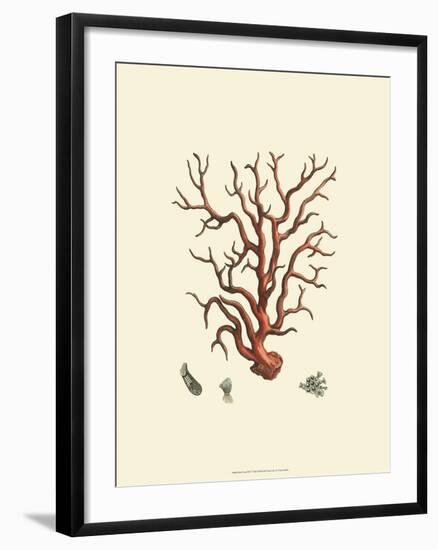 Red Coral I--Framed Art Print