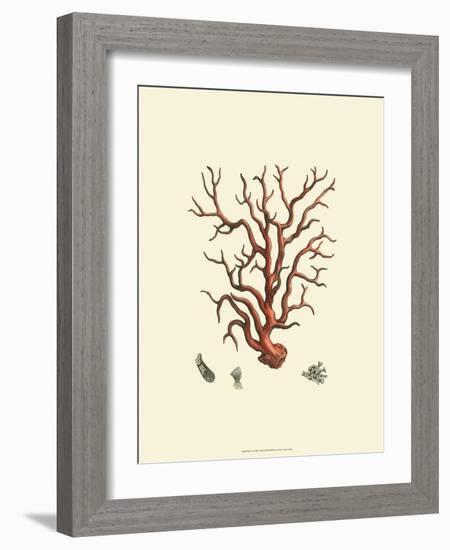 Red Coral I-null-Framed Art Print