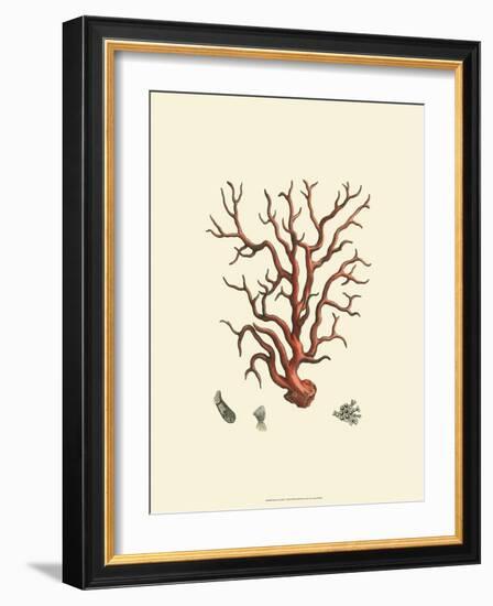 Red Coral I-null-Framed Art Print