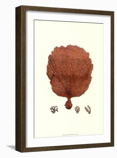 Red Coral II-null-Framed Art Print