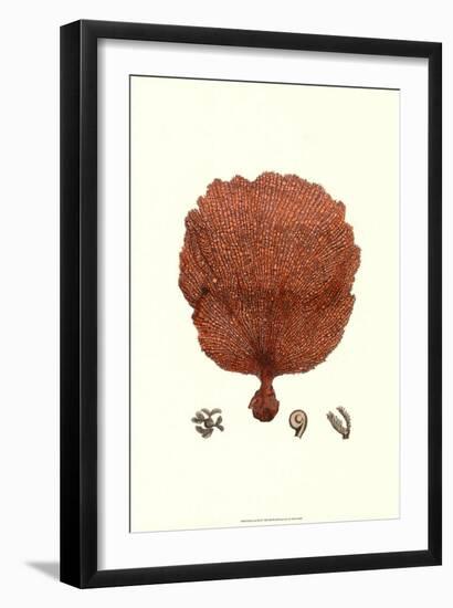 Red Coral II-null-Framed Art Print