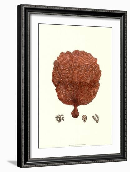 Red Coral II-null-Framed Art Print