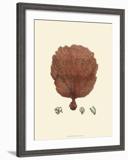 Red Coral II-null-Framed Art Print