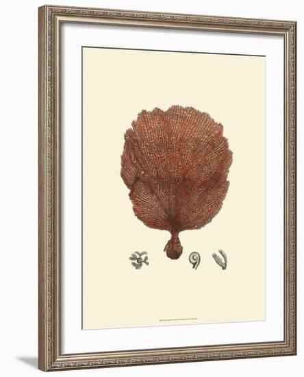 Red Coral II-null-Framed Art Print