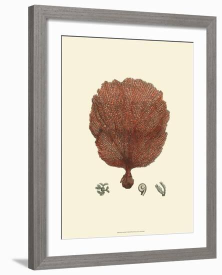 Red Coral II-null-Framed Art Print