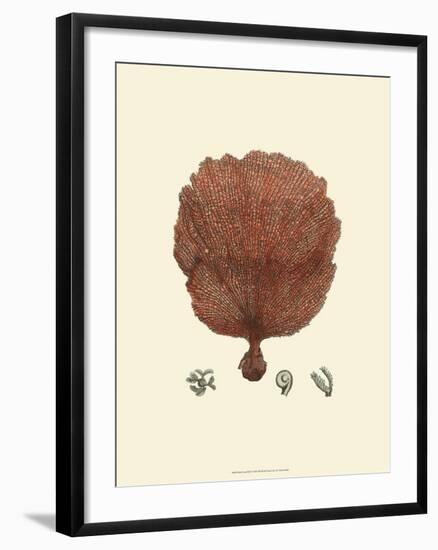 Red Coral II-null-Framed Art Print