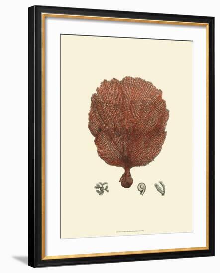 Red Coral II-null-Framed Art Print