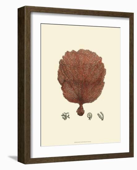 Red Coral II-null-Framed Art Print