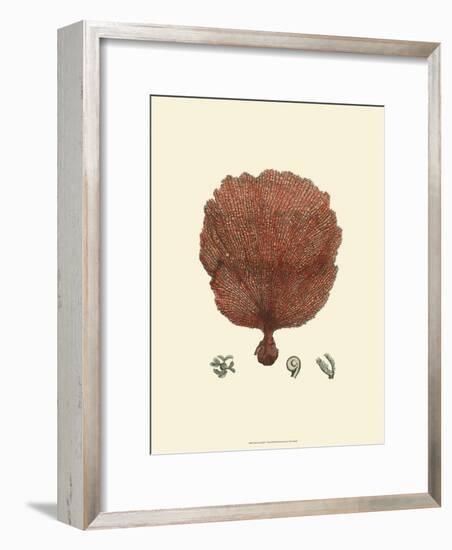 Red Coral II-null-Framed Art Print