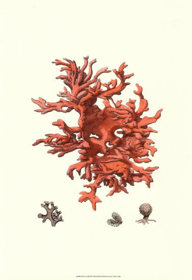 Red Coral III Art Print by | Art.com