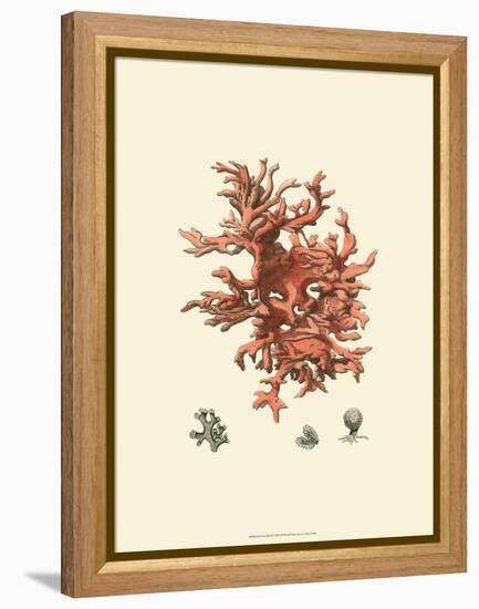 Red Coral III-null-Framed Stretched Canvas