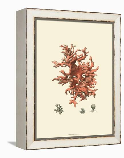 Red Coral III-null-Framed Stretched Canvas