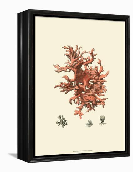 Red Coral III-null-Framed Stretched Canvas